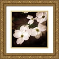 thumbnail image 1 of Van Swearingen, Debra 20x20 Gold Ornate Wood Framed with Double Matting Museum Art Print Titled - White Dogwood III, 1 of 4