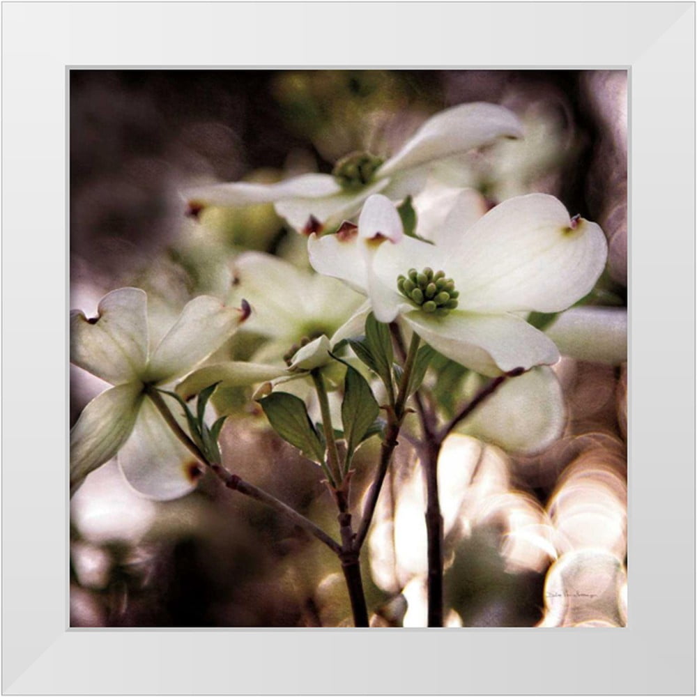 Van Swearingen, Debra 20x20 White Modern Wood Framed Museum Art Print ...