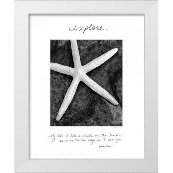 Van Swearingen, Debra 20x24 White Modern Wood Framed Museum Art Print Titled - Explore