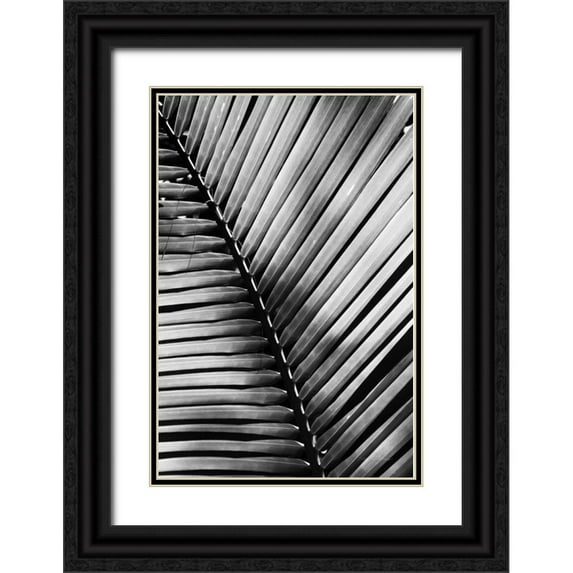 Van Swearingen, Debra 23x32 Black Ornate Wood Framed with Double Matting Museum Art Print Titled - Palm Frond I