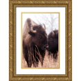 thumbnail image 1 of Van Swearingen, Debra 23x32 Gold Ornate Wood Framed with Double Matting Museum Art Print Titled - American Bison VI, 1 of 4