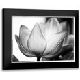 thumbnail image 1 of Van Swearingen, Debra 24x18 Black Modern Framed Museum Art Print Titled - Translucent Tulips VI, 1 of 5