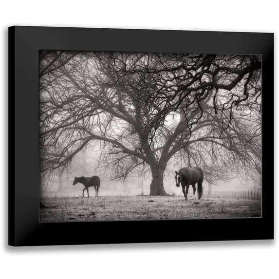 Van Swearingen, Debra 24x19 Black Modern Framed Museum Art Print Titled - Morning Calm II BW