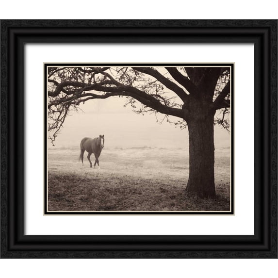 Van Swearingen, Debra 24x20 Black Ornate Wood Framed with Double Matting Museum Art Print Titled - Hazy Horse I