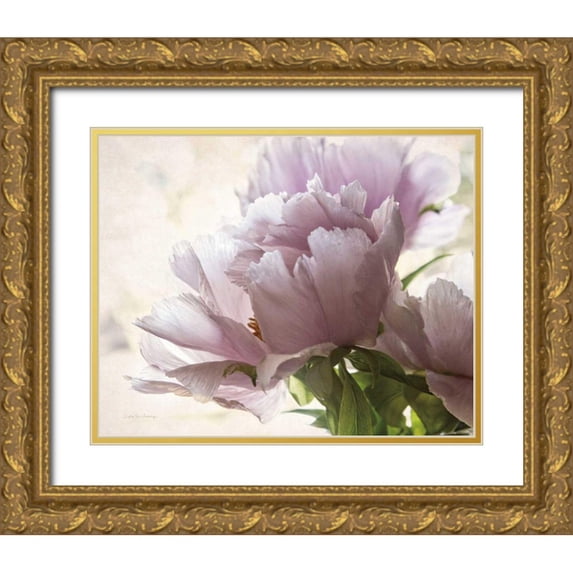 Van Swearingen, Debra 24x20 Gold Ornate Wood Framed with Double Matting Museum Art Print Titled - Translucent Peony I