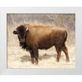 thumbnail image 1 of Van Swearingen, Debra 24x20 White Modern Wood Framed Museum Art Print Titled - American Bison I, 1 of 4