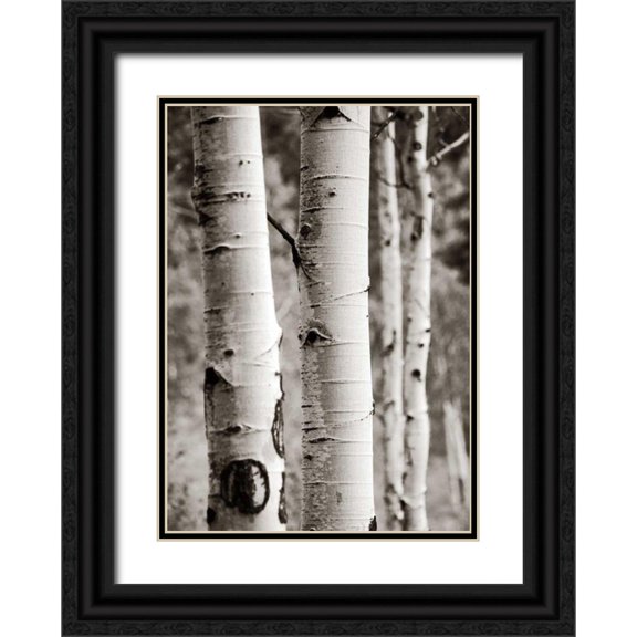 Van Swearingen, Debra 24x32 Black Ornate Wood Framed with Double Matting Museum Art Print Titled - Aspens I
