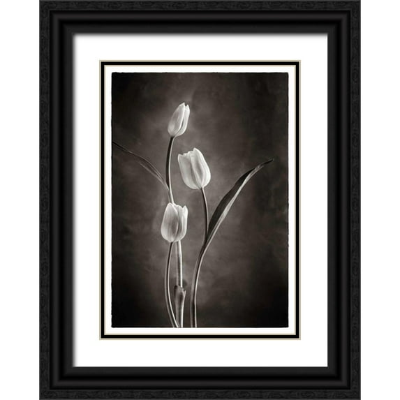 Van Swearingen, Debra 24x32 Black Ornate Wood Framed with Double Matting Museum Art Print Titled - TwoTone Tulips VIII