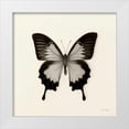 thumbnail image 1 of Van Swearingen, Debra 26x26 White Modern Wood Framed Museum Art Print Titled - Butterfly III BW Crop, 1 of 4