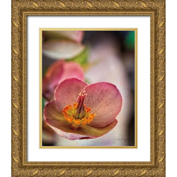 Van Swearingen, Debra 26x31 Gold Ornate Wood Framed with Double Matting Museum Art Print Titled - Lenton Rose III