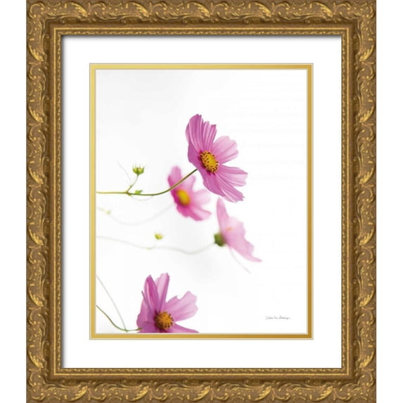Van Swearingen, Debra 26x32 Gold Ornate Wood Framed with Double Matting Museum Art Print Titled - Pale Cosmos I