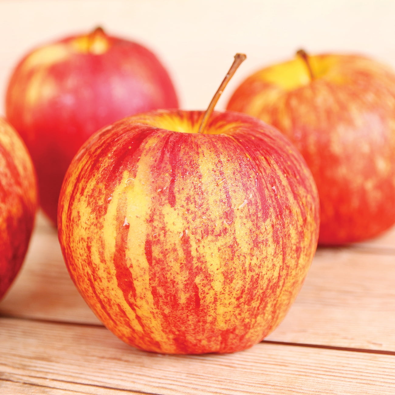 Ricks Garden Center  Honeycrisp Apple #7