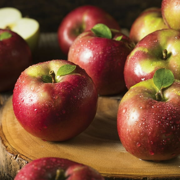 Van Zyverden Apple Tree McIntosh 1 Plant Root Stock Pink Full Sun Perennial Edible 4 lbs