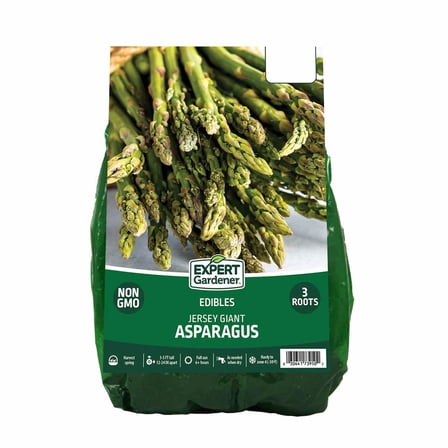 Expert Gardener Asparagus Jersey Giant (Set of 3 Dormant Bare Roots) Full Sun, Multi-Color, Perennial