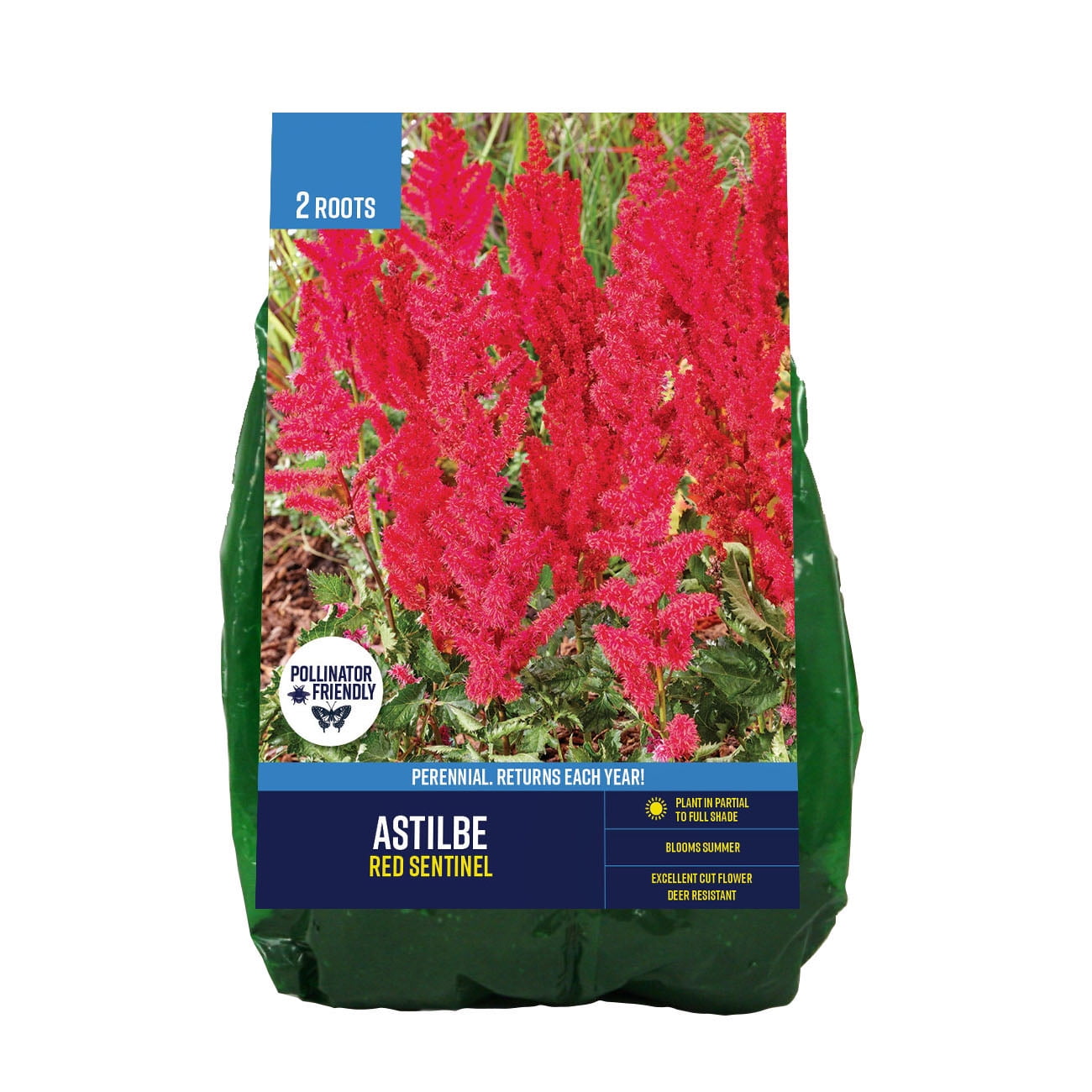 Van Zyverden Astilbe Red Sentinel (Set of 2 Dormant Bare Roots) Partial Sun, Red, Perennial