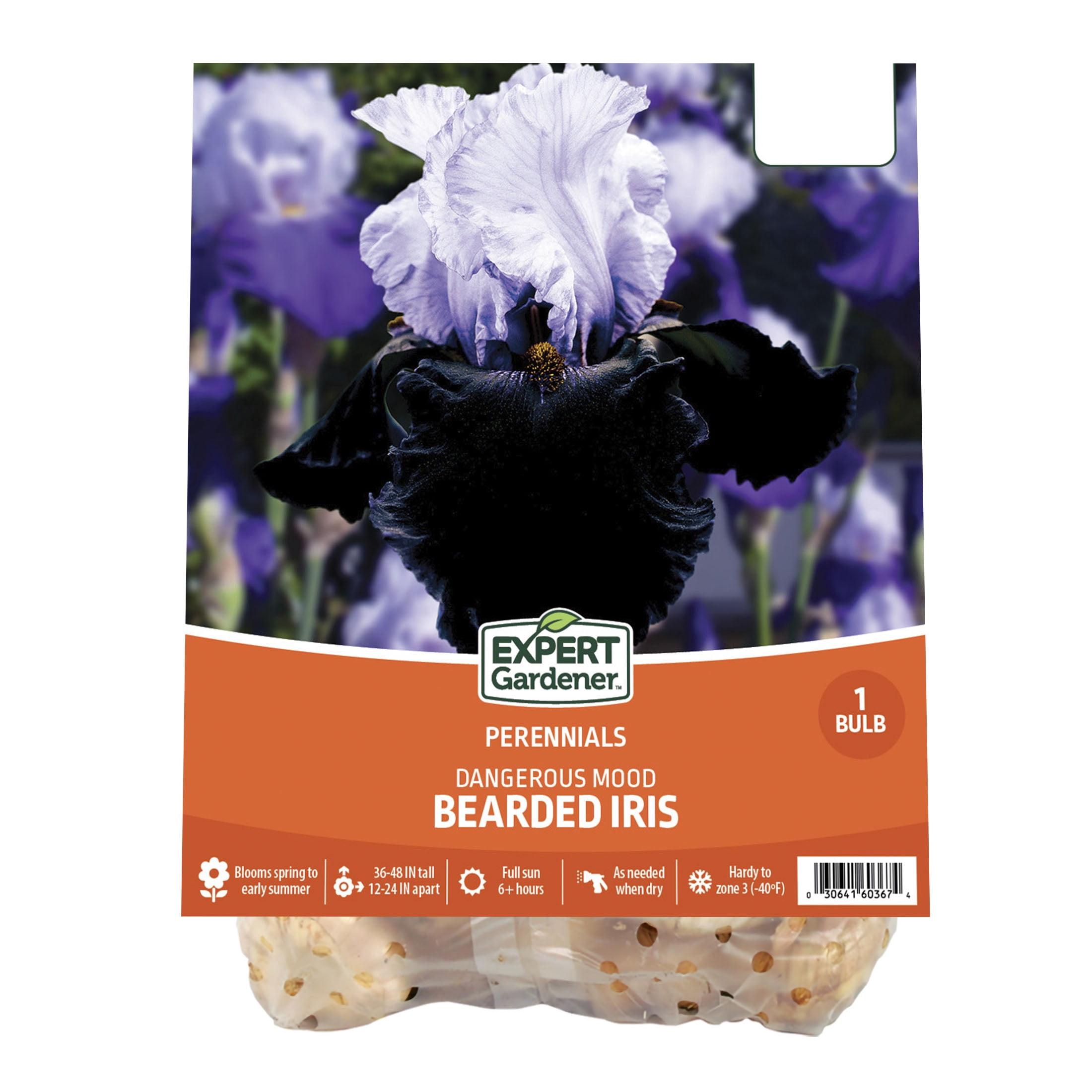 Expert Gardener Bearded Iris Dangerous Mood Plant Bulbs (1 Dormant Bulb)