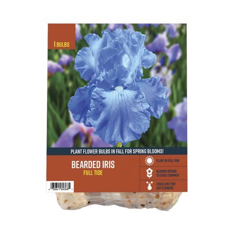 Van Zyverden's Bearded Iris Full Tide (1 Dormant Bulb) Partial Sun, Blue, Perennial