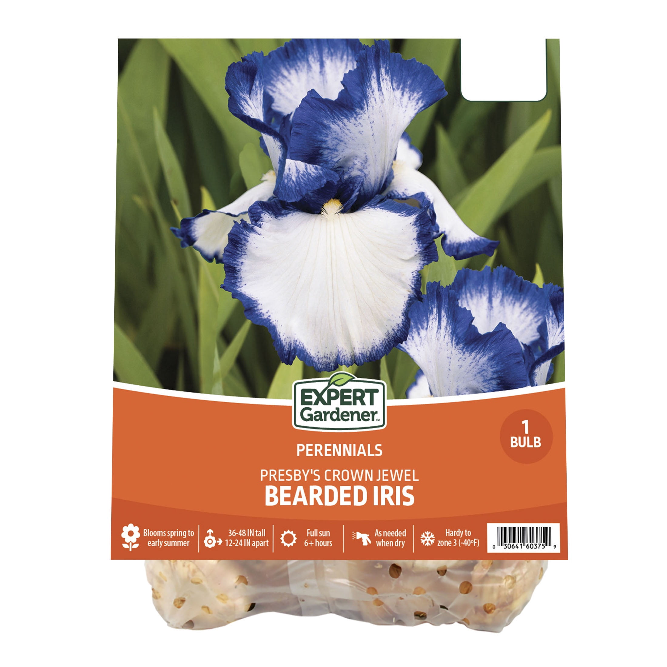Expert Gardener Bearded Iris Presbys Crown Jewel Plant Bulbs (1 Dormant Bulb)