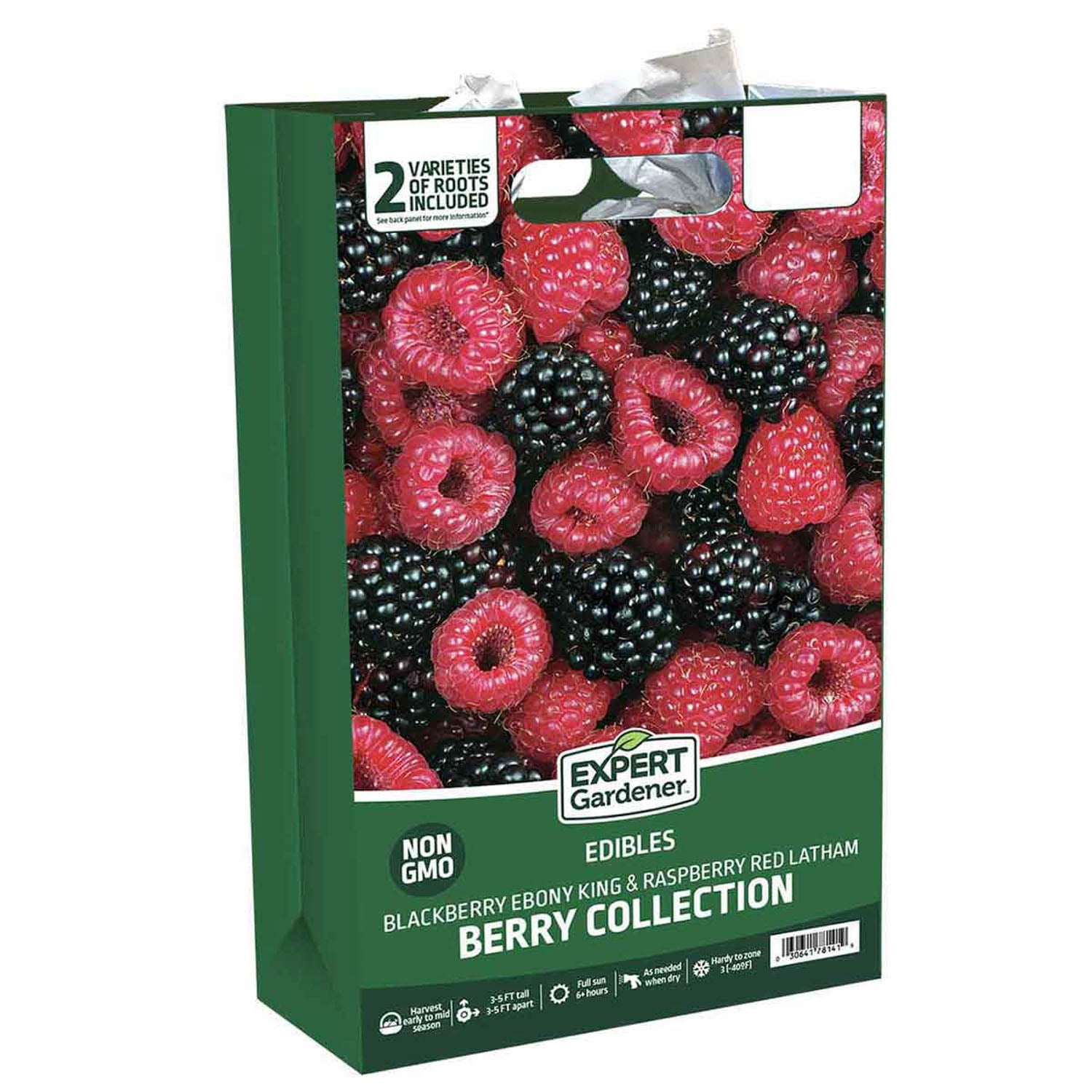 Expert Gardener Berry Collection (Set of 2 Dormant Bare Roots) Full Sun, Multi-Color, Perennial