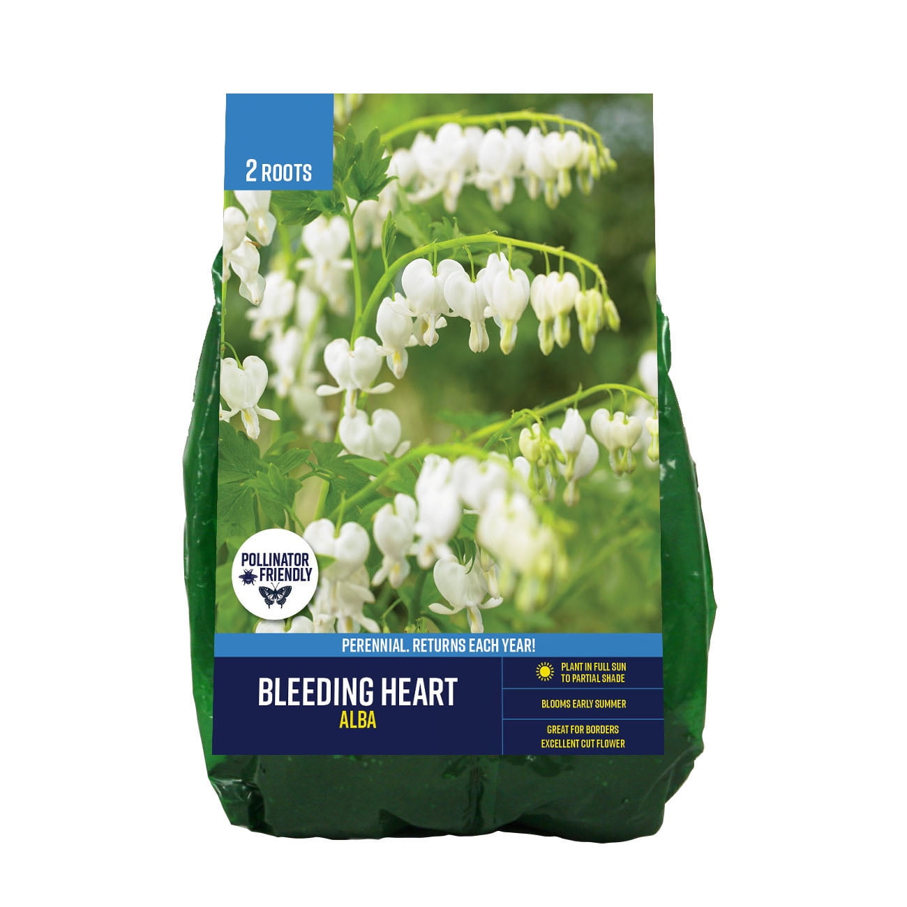 Van Zyverden Bleeding Heart Alba (Set of 2 Dormant Bare Roots) Partial ...