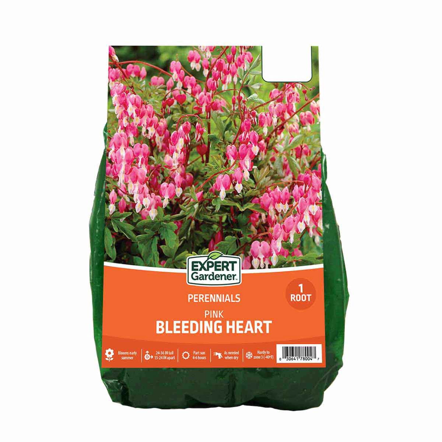 Expert Gardener Bleeding Heart Pink Dormant Bare Root in Partial Sun Perennial Plant