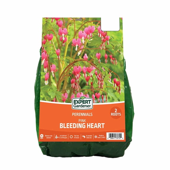 Expert Gardener Bleeding Heart Pink Dormant Plant Roots, Set of 2, Partial Sun, Perennial