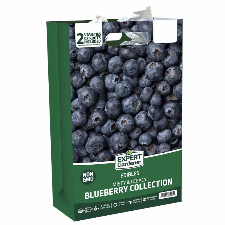 Expert Gardener Blueberry Collection #2 (Set of 2 Dormant Bare