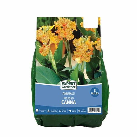 Expert Gardener Canna Picasso Set of 3 Dormant Bulbs, Multi-Color, Full Sun, Annual