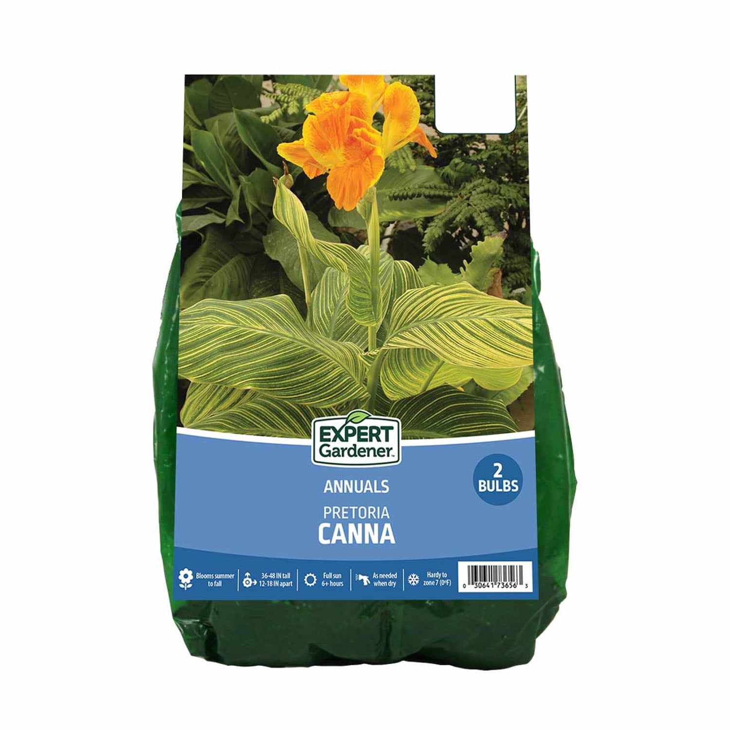 Van-Zyverden-Canna-Pretoria-