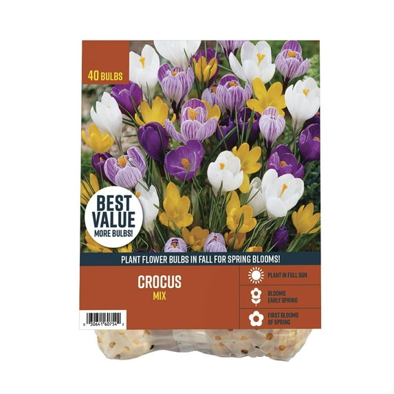 Van Zyverden's Crocus Mix (Set of 40 Dormant Bulbs) Full Sun, Multicolor, Annual