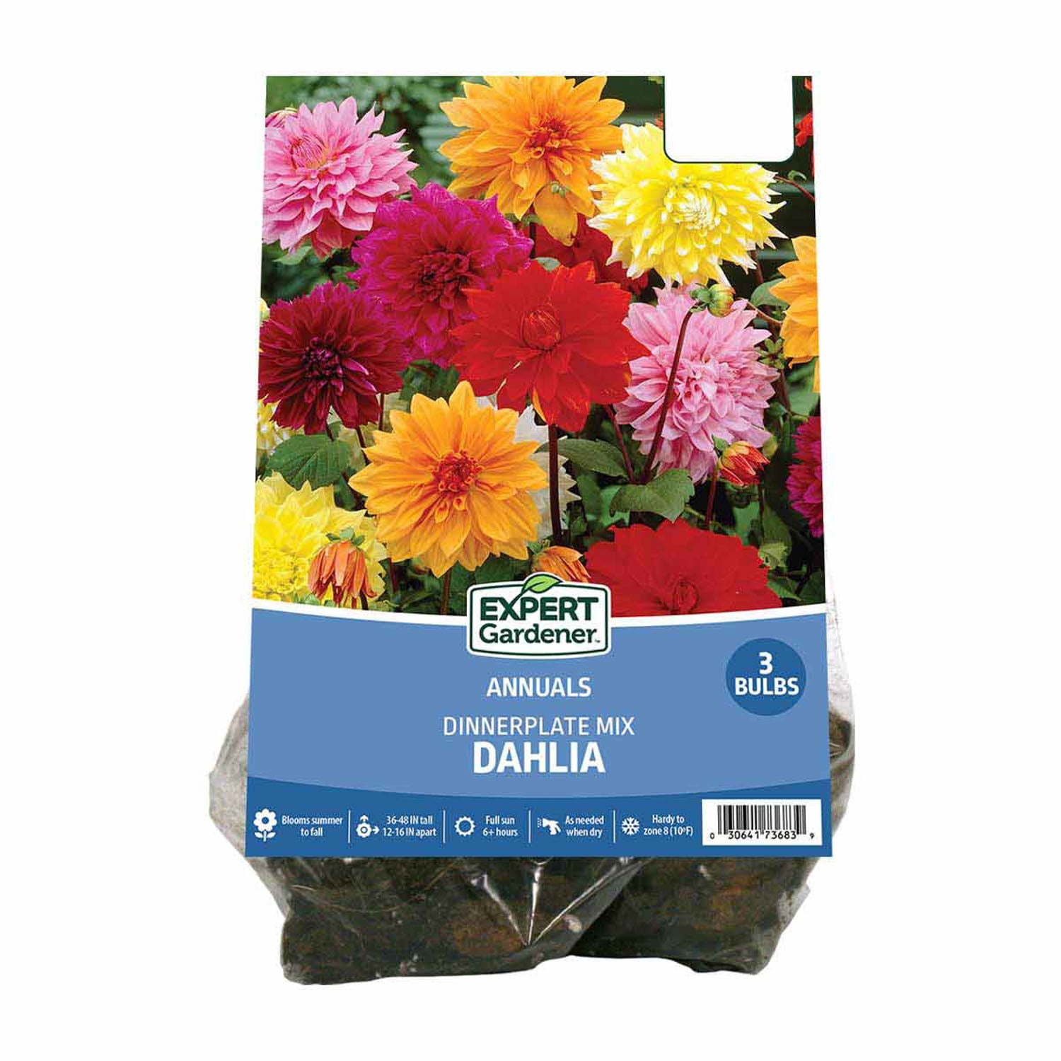 Expert Gardener Dahlia Dinnerplate Mix (Set of 3 Dormant Bulbs