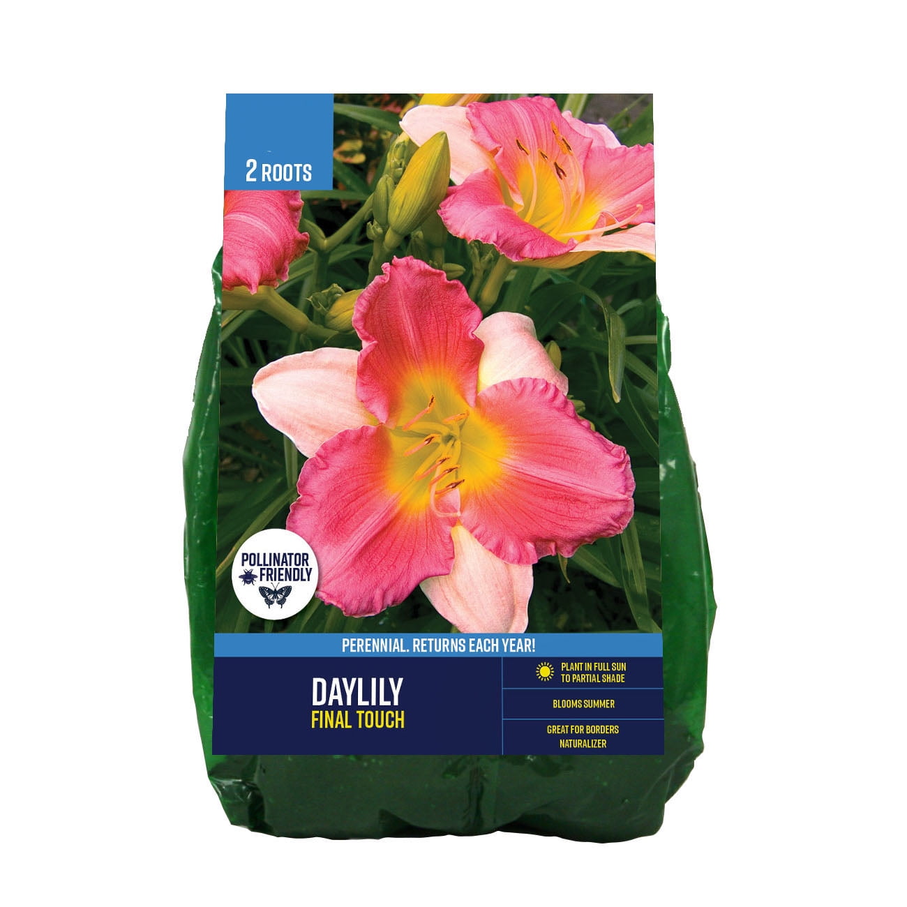 LILY です Daylily Nursery 10 Mixed Asiatic and Orieltal Lilies, 10