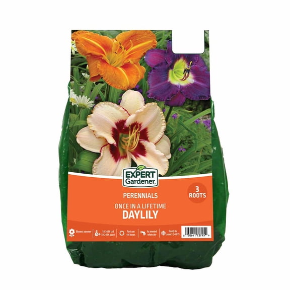 Expert Gardener Perennial Daylily Once in a Lifetime Mix Set of 3 Dormant Bare Roots Multi-Color Partial Sun