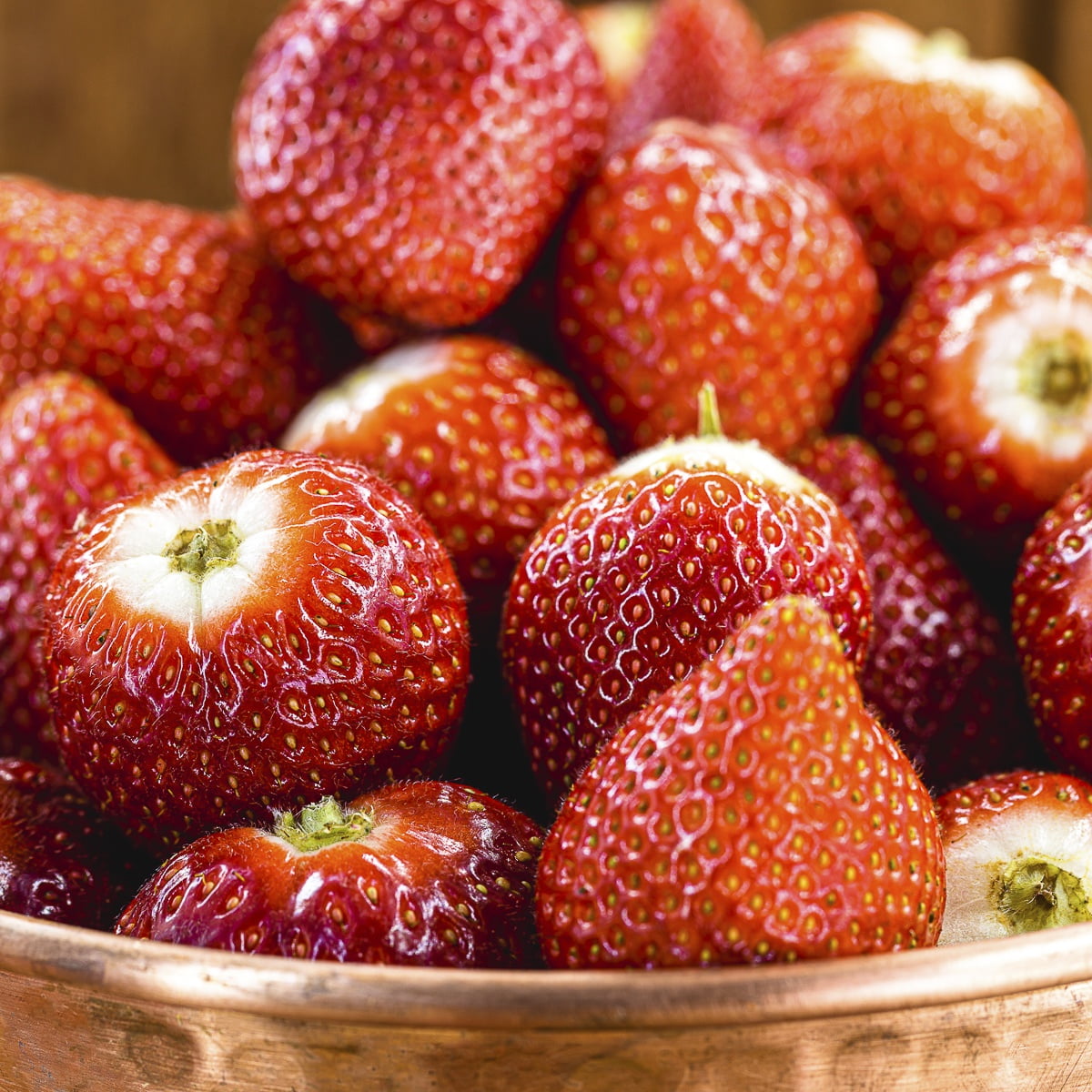 Van Zyverden Dayneutral Strawberries Albion Set of 20 Plant Roots White Full Sun