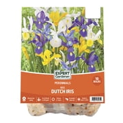 Expert Gardener Dutch Iris Mix Plant Bulbs 10 Dormant Bulbs
