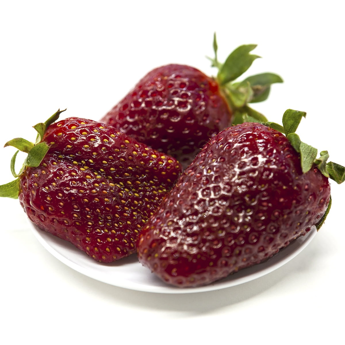 Van Zyverden Everbearing Strawberries Ozark Beauty Set of 20 Plant Roots White Full Sun
