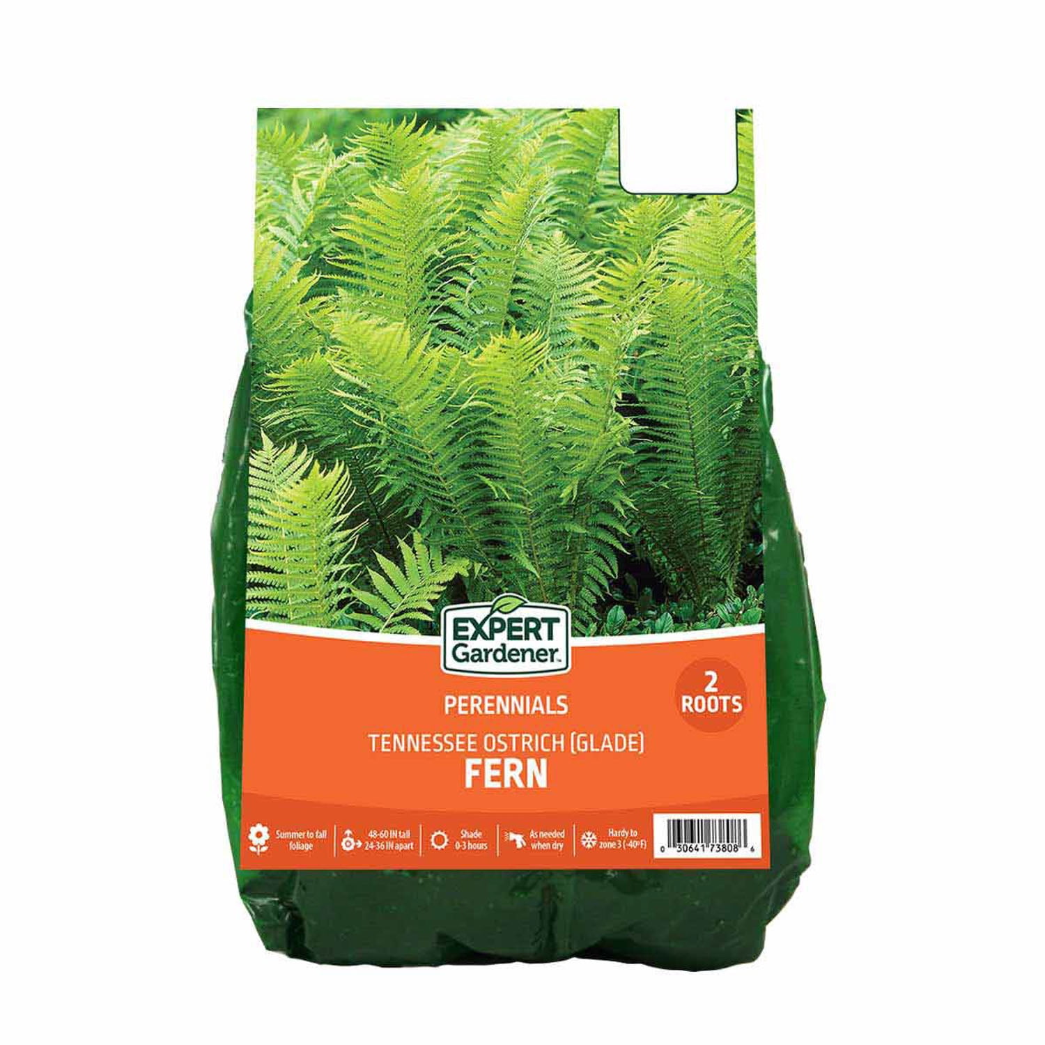 Van Zyverden Fern Tennessee Ostrich D...