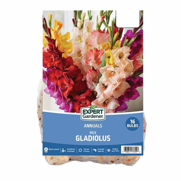 Expert Gardener Gladiolus Mix Set of 16 Dormant Bulbs Multi-Color Partial Sun Annual