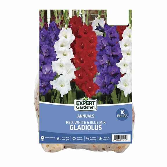 Expert Gardener Patriotic Gladiolus Bulb Mix, Red White & Blue, Set of 16, Partial Sun, Annual