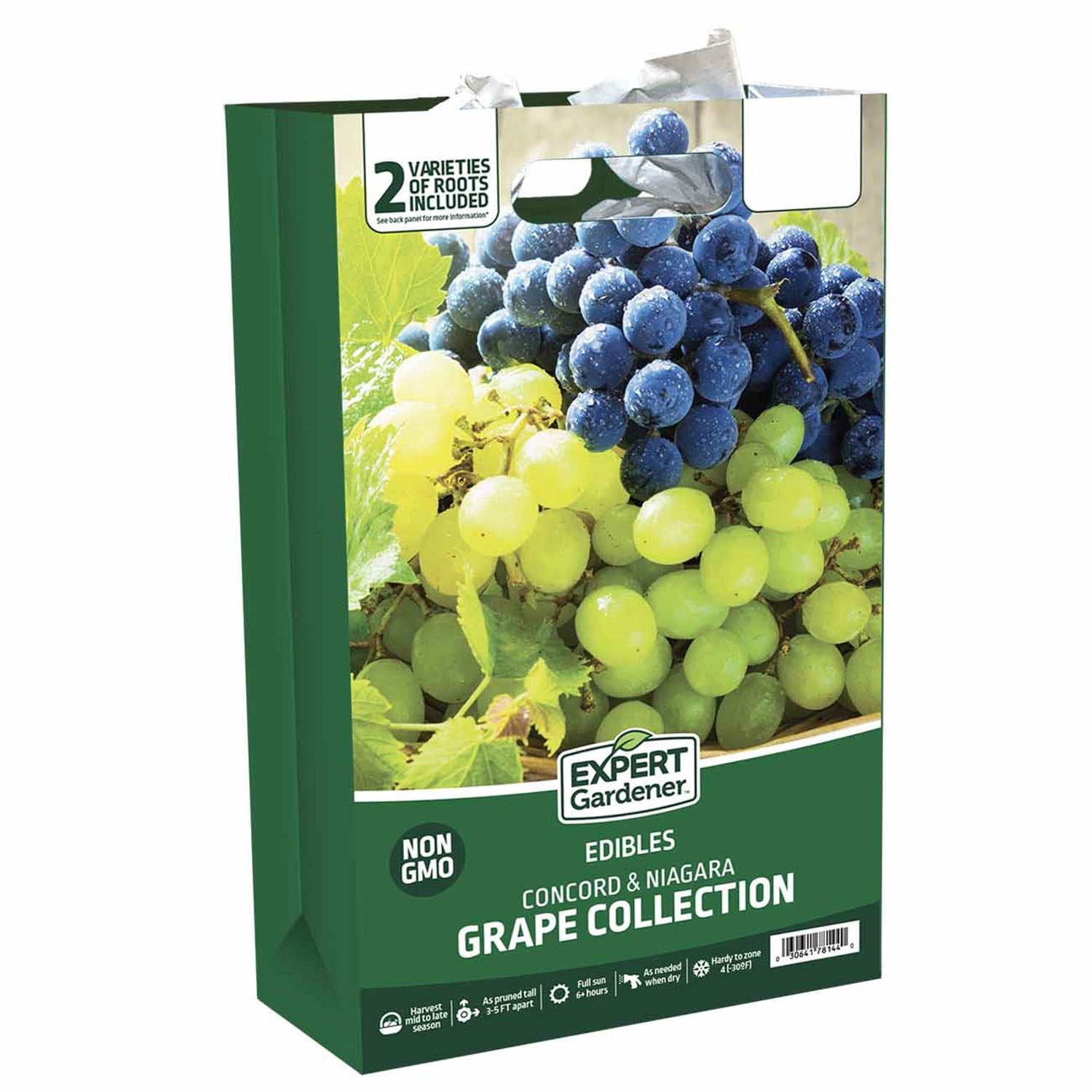 Expert Gardener Grape Collection (Set of 2 Dormant Bare Roots