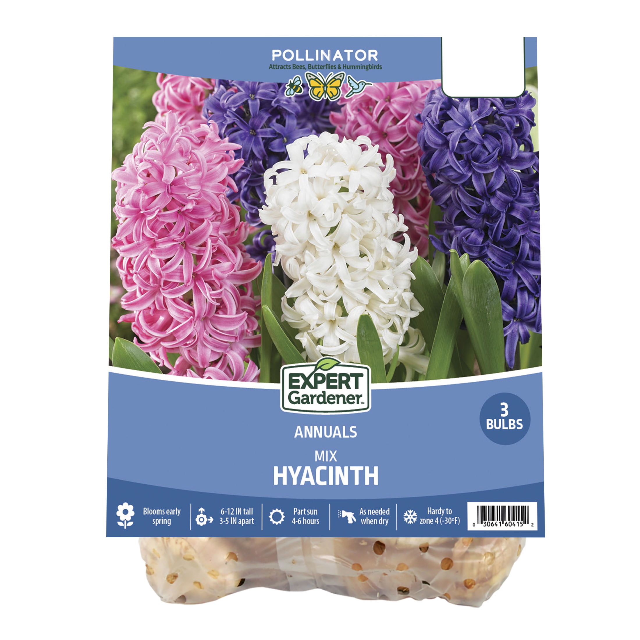 Expert Gardener Hyacinth Mix Plant Bulbs (3 Dormant Bulbs)
