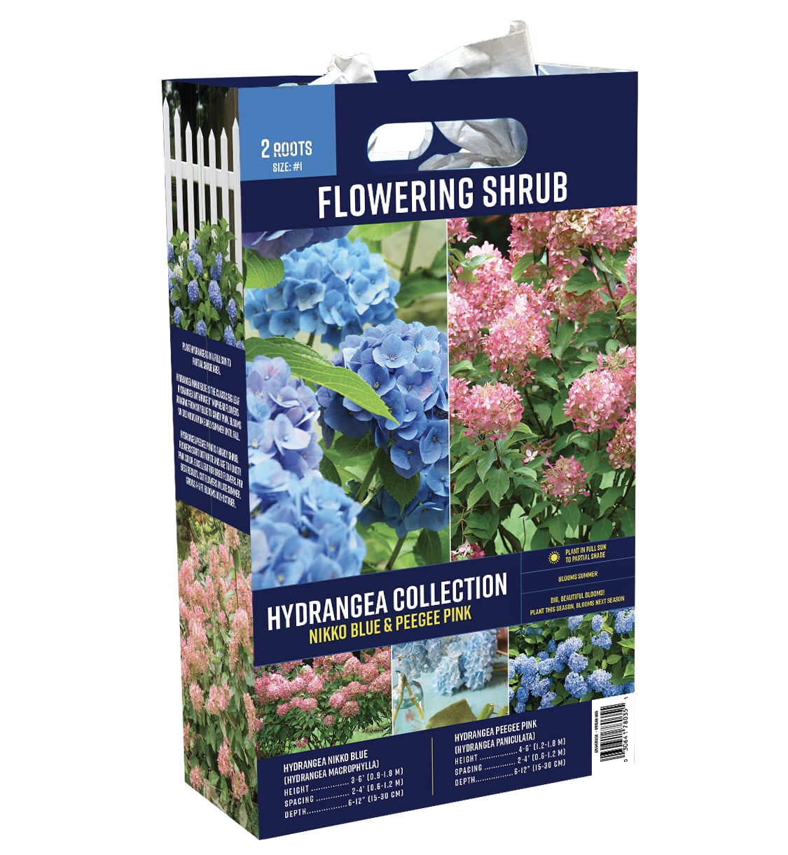 Van Zyverden Hydrangea Collection (Set of 2 Dormant Bare