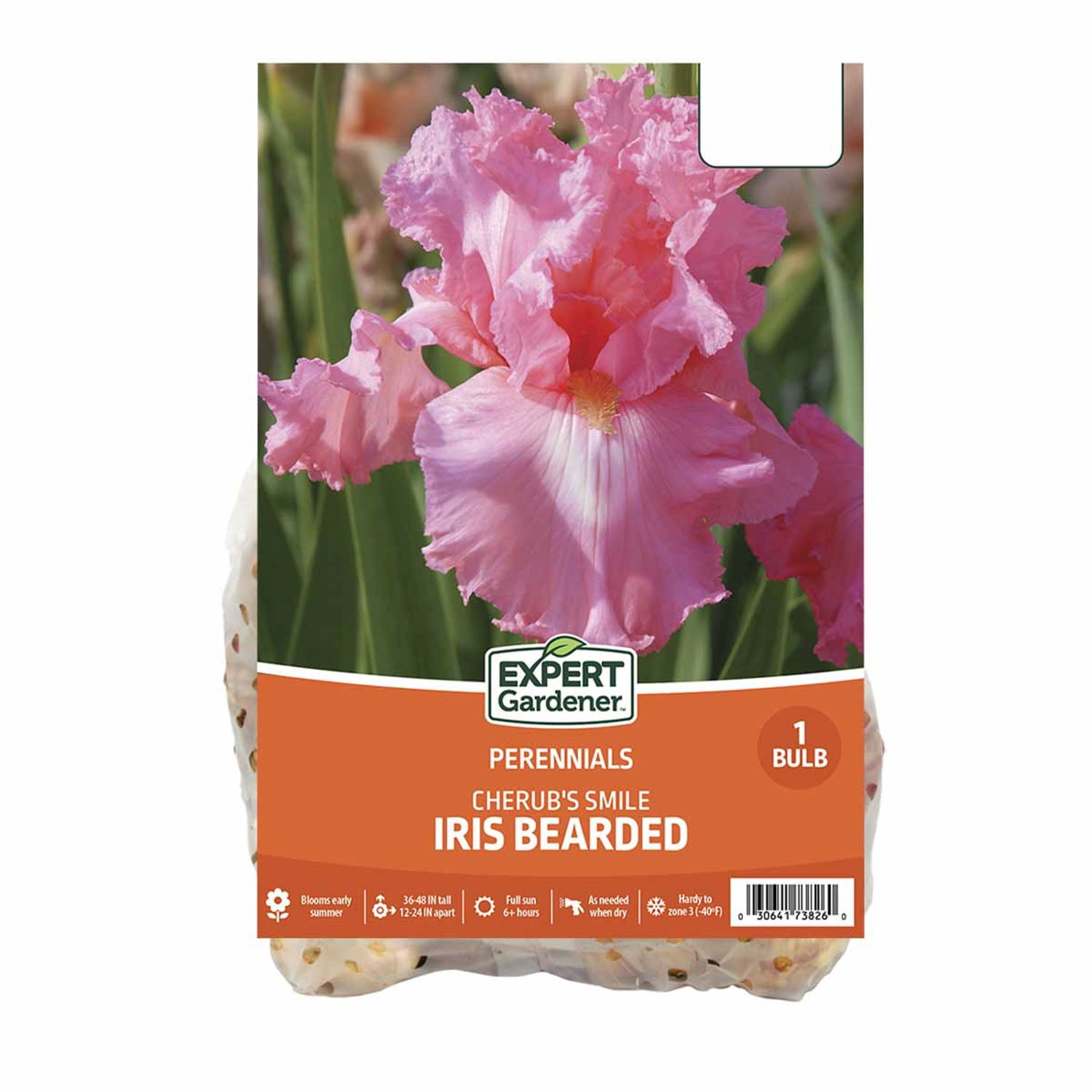 Expert Gardener Bearded Iris Cherub's Smile Dormant Bulb, Pink