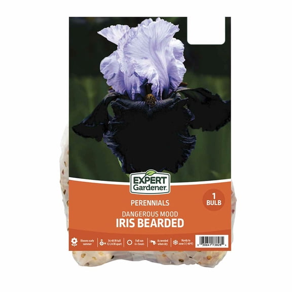 Expert Gardener Bearded Iris Dangerous Mood - Multi-Color Perennial, Full Sun, 1 Dormant Bulb