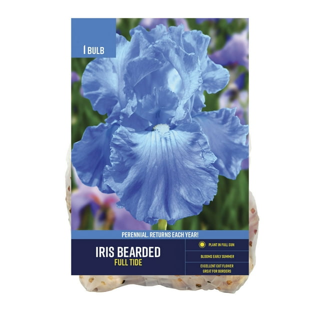Van Zyverden Iris Bearded Full Tide (1 Dormant Bulb) Partial Sun, Blue, Perennial