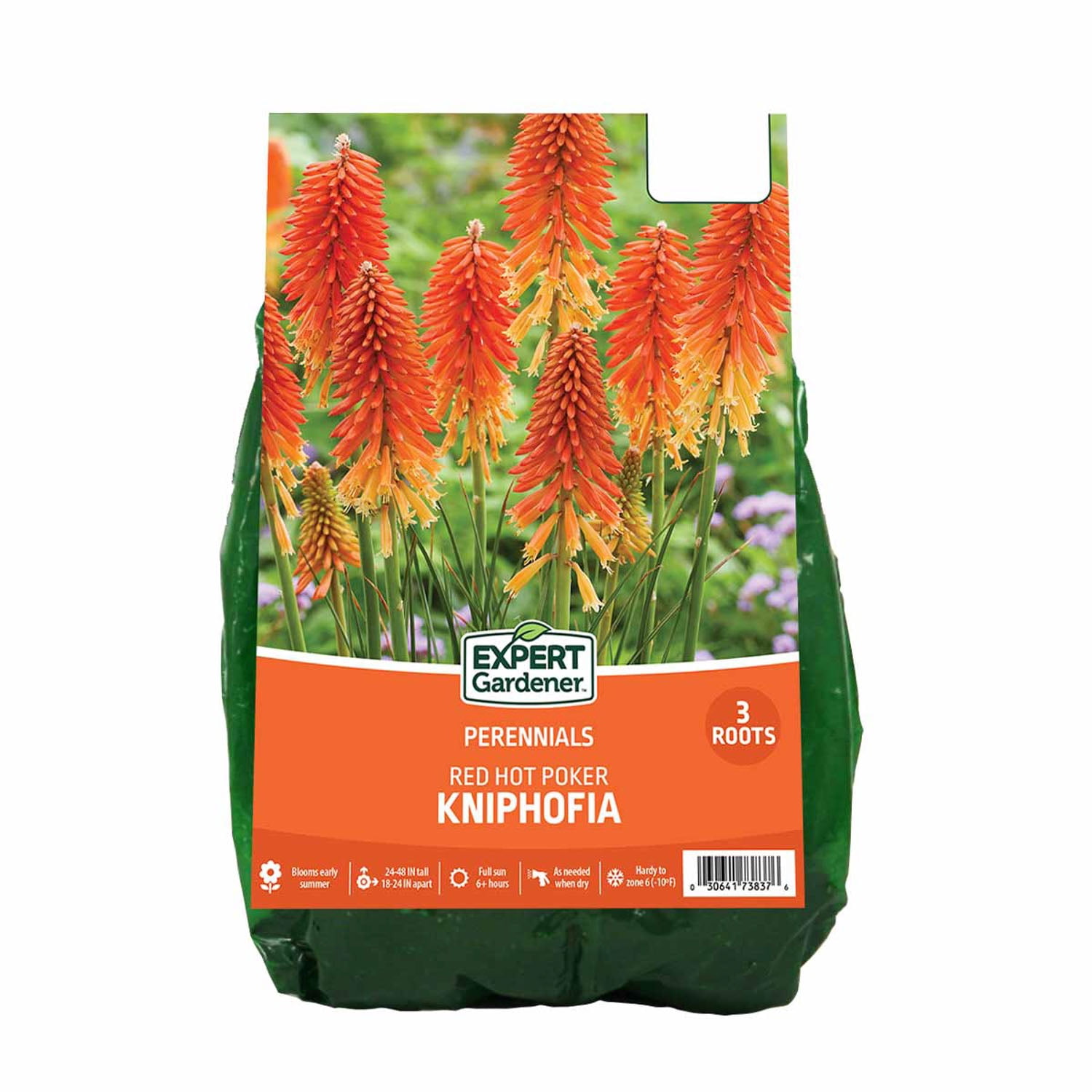Expert Gardener Kniphofia Red Hot Poker Set of 3 Dormant Bare Roots Perennial Full Sun Orange