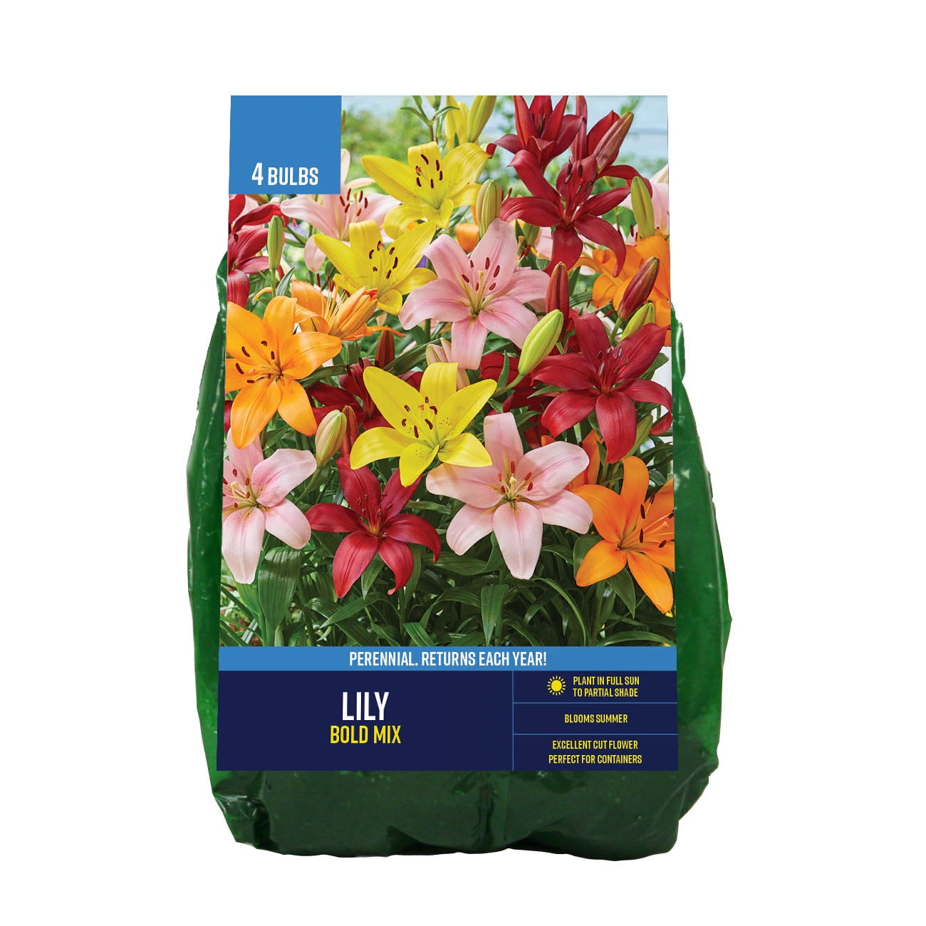 Van Zyverden Flowering Lily Bold Mix Dormant Bulb, Partial Van Zyverden Flowering Lily Bold Mix Dormant Bulb, Partial