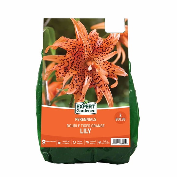 Expert Gardener Lily Double Tiger Orange (Set of 3 Dormant Bulbs) Partial Sun, Orange, Perennial