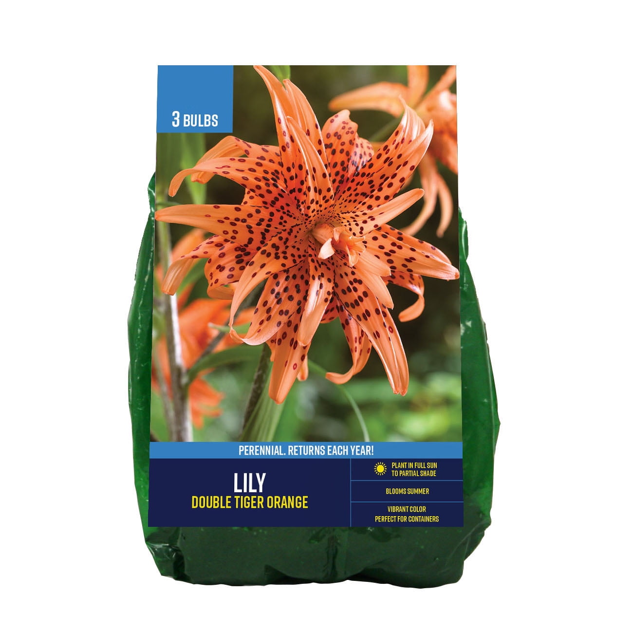 バイヤー厳選用品 Double Lily Zyverden Van Tiger Dormant 3 of (Set Orange TVドラマ