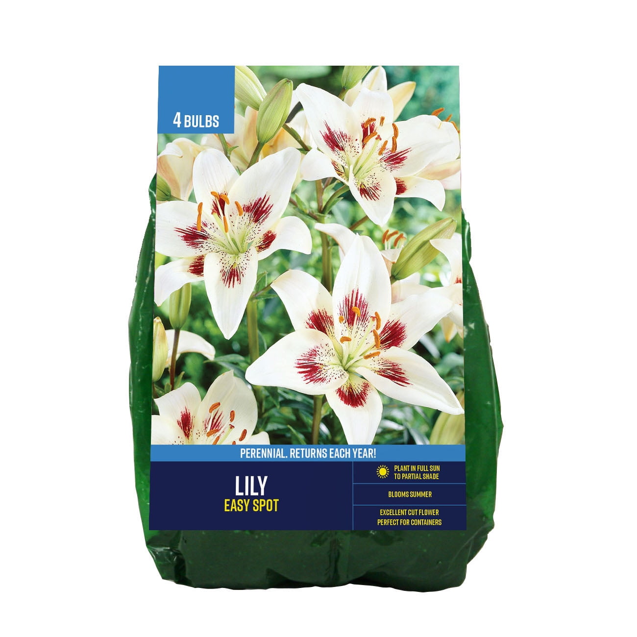 Van Zyverden Lily Easy Spot (Set of 4 Dormant Bulbs) Partial Van Zyverden Lily Easy Spot (Set of 4 Dormant Bulbs) Partial